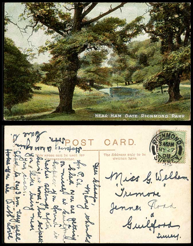 London Surrey, Near Ham Gate, Richmond Park 1908 Old Colour Postcard Trees River