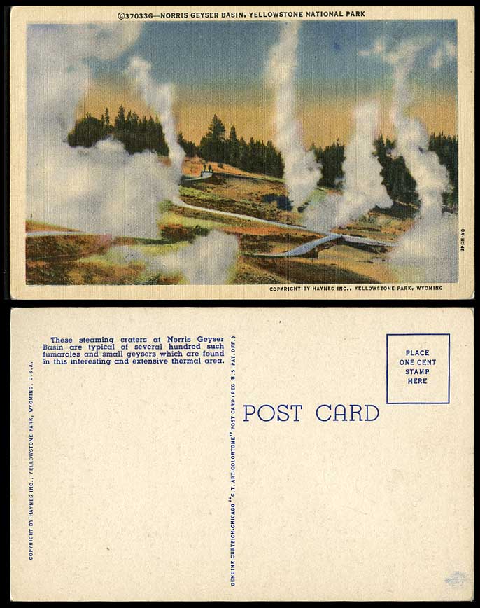 USA Norris Geyser Basin Steaming Craters, Yellowstone National Park Old Postcard