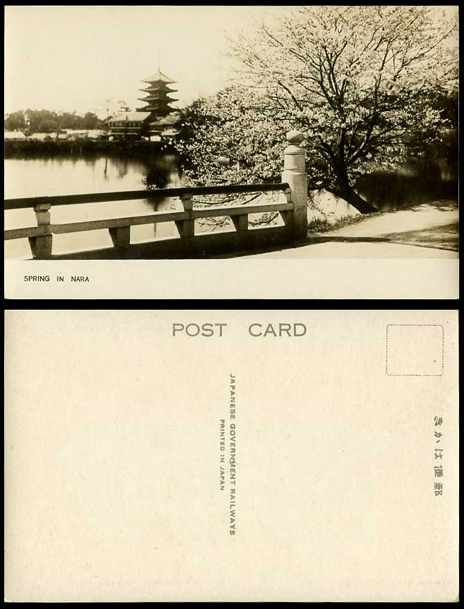 Japan Old R.P. Postcard Spring in NARA, Sarusawa Pond, Pagoda Temple Monkey Lake