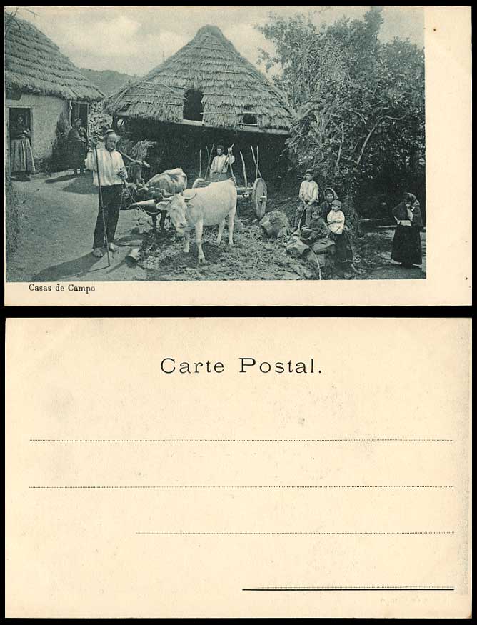 Portugal Old UB Postcard MADEIRA Casas de Campo Huts Houses Cattle Cart Peasants