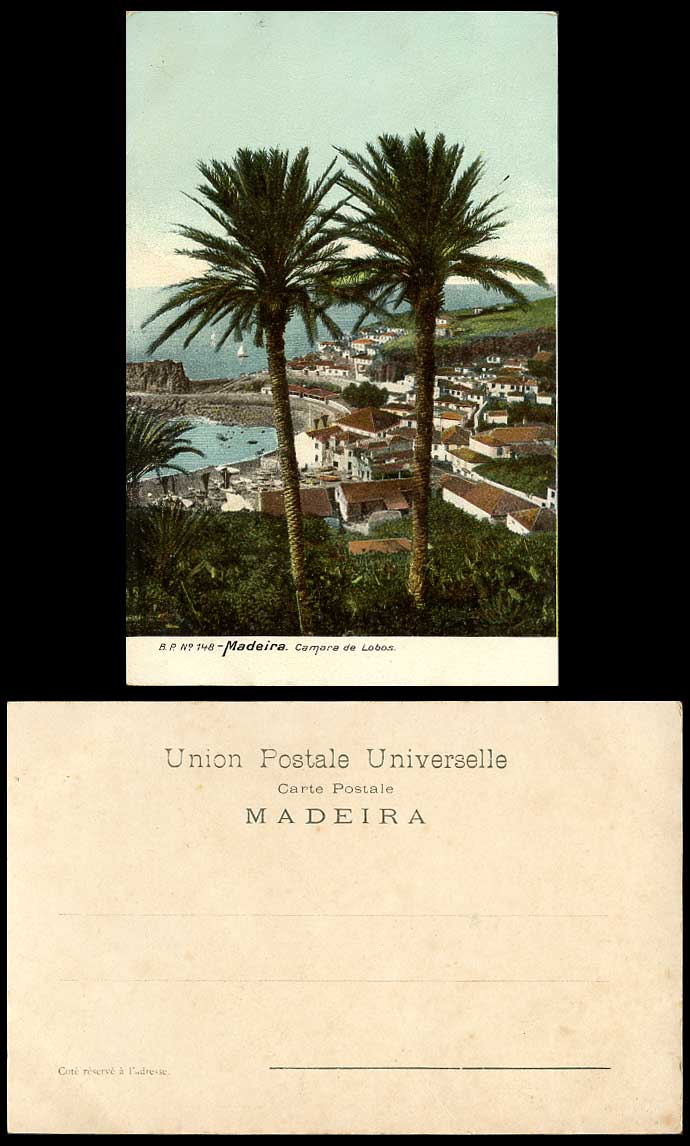 Portugal Old Colour UB Postcard MADEIRA Camara de Lobos Palm Trees Harbour Boats