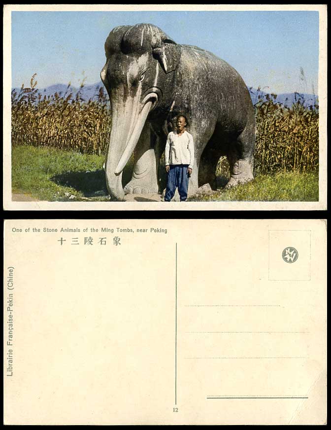China Old Postcard Stone Elephant Statue Ming 13 Tombs Peking A Chinaman Yawning