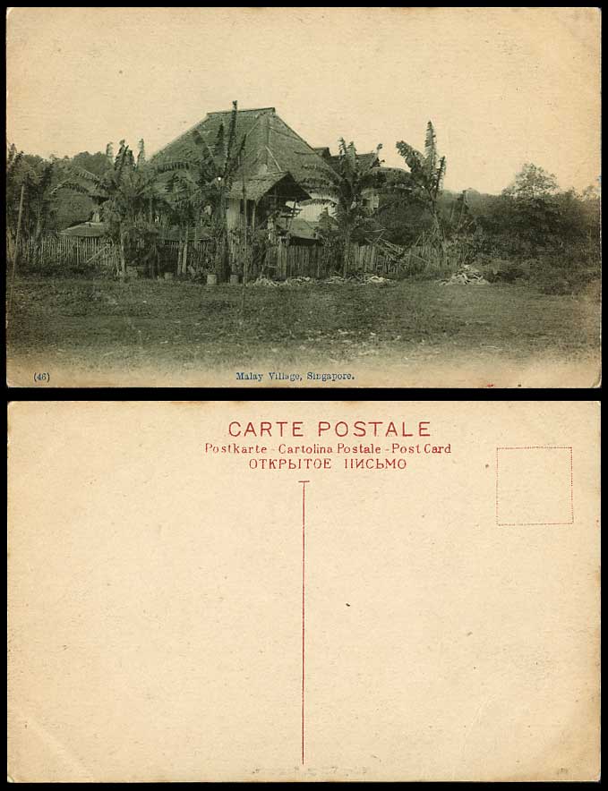 Singapore Old Postcard Malay Village Palm Trees Native House Straits Settlements