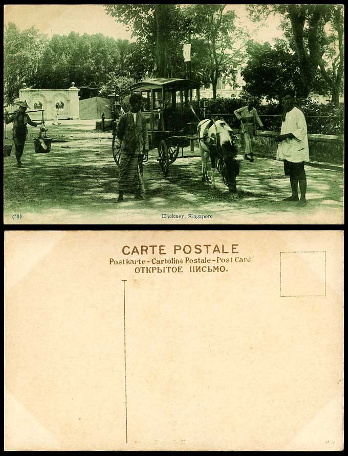 Singapore Hackney Old Postcard Malay Horse Wagon Cart Native Coolie Street Scene