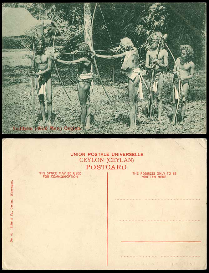 Ceylon Old Postcard VEDDAHS WILD MEN ARCHERY Native Hunters Hunting, Bow & Arrow