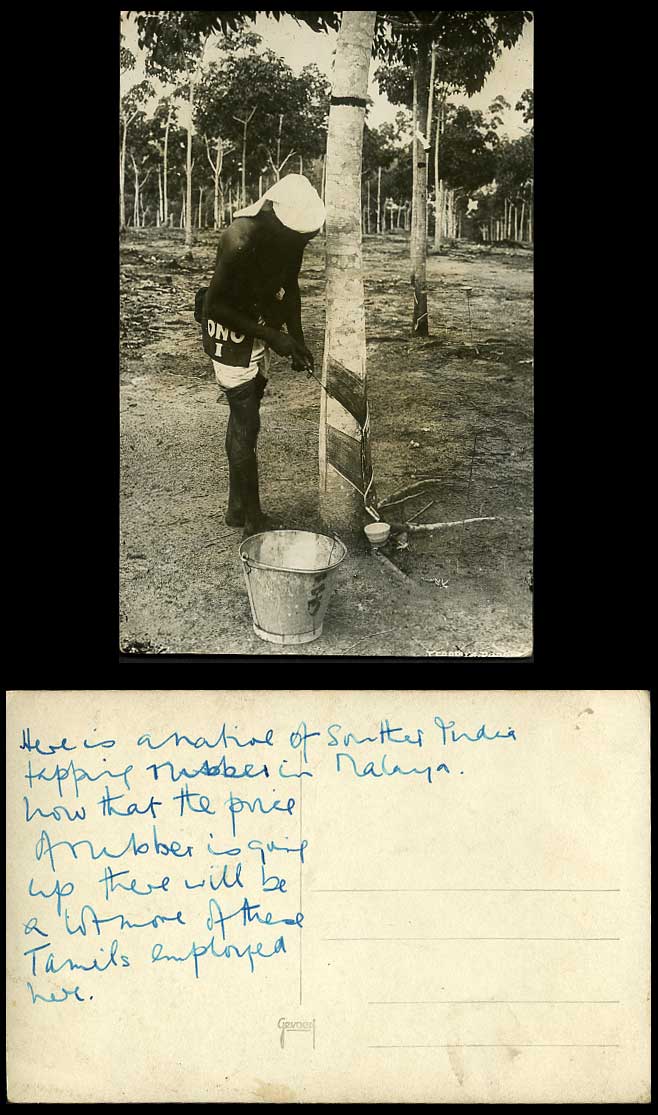 Singapore Old Real Photo Postcard Tamil Tapping Rubber Tree ONO I Dutch Method