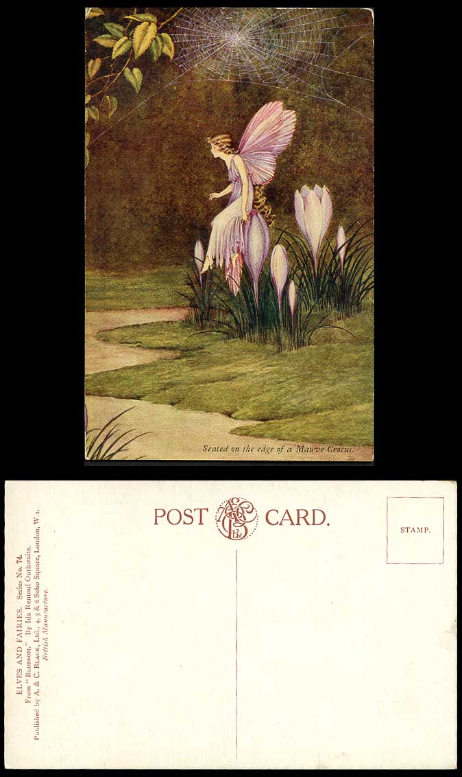 I.R. OUTHWAITE Old Postcard Fairy Girl Seated on Edge of Mauve Crocus Spider Web