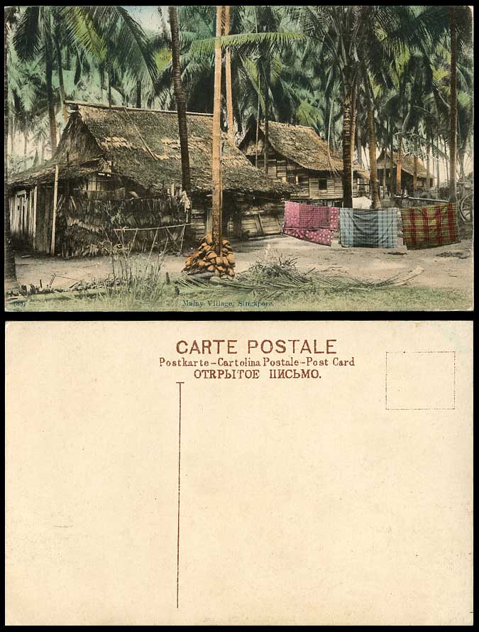Singapore Old Hand Tinted Postcard Malay Village Houses Palm Trees Coconut Sheet