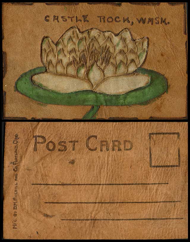 Novelty Hand Made from Leather Old Postcard Waterlily Flower Castle Rock Wash US