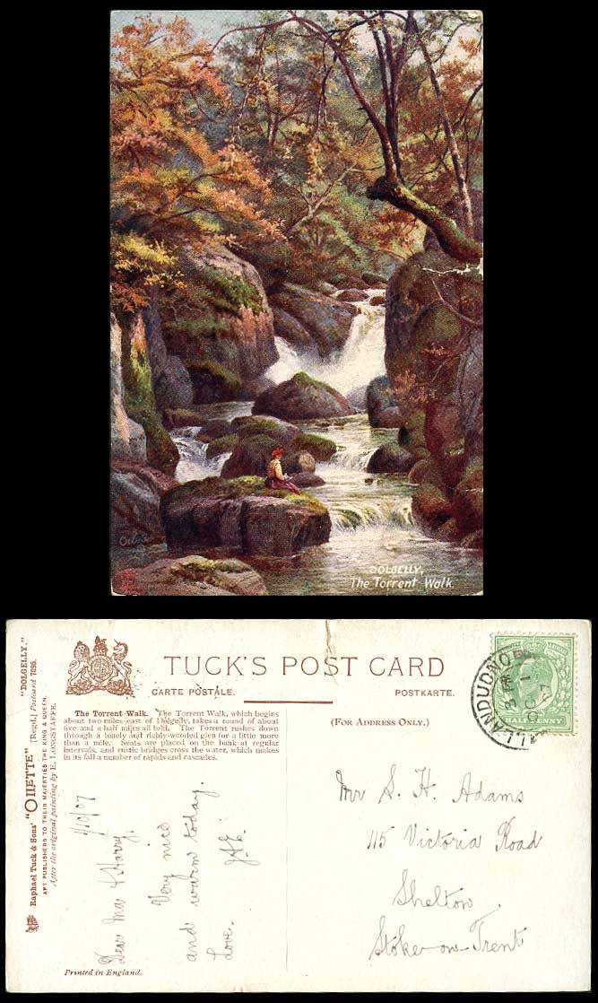 Dolgelly, The Torrent Walk 1907 Old Tuck's Oilette Postcard Cascades Rocks Wales