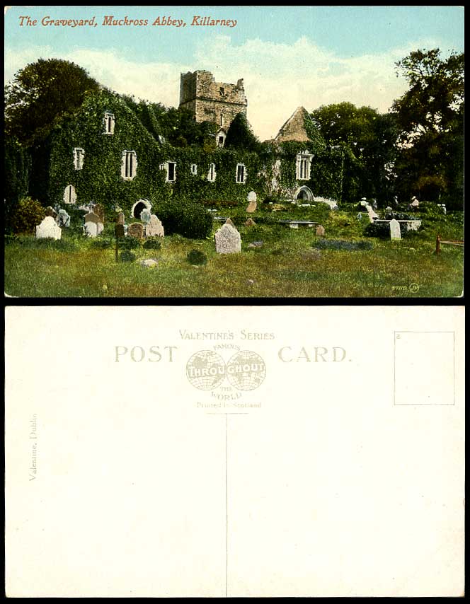 Ireland Old Colour Postcard Graveyard, Muckross Abbey Tombstones Killarney Kerry