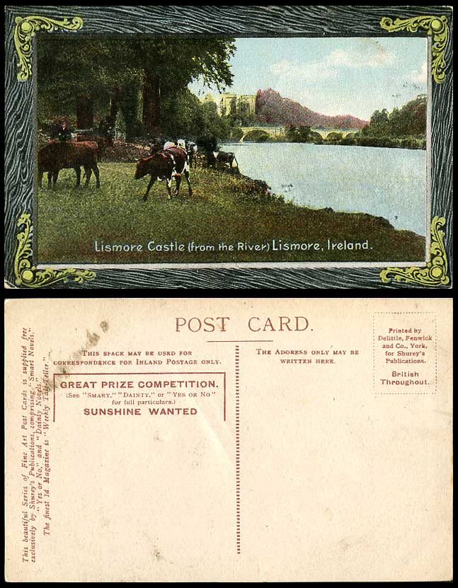 Ireland Co. Waterford Old Postcard LISMORE CASTLE from River, Bridge, Cow Cattle