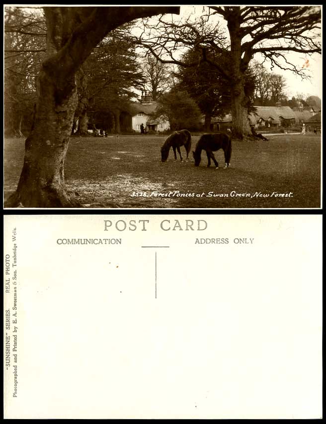 New Forest Ponies at Swan Green Horses Thatched Cottages Old Real Photo Postcard