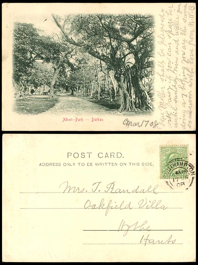 South Africa Durban ALBERT PARK Trees KE7 1/2d 1908 Old Undivided Back Postcard