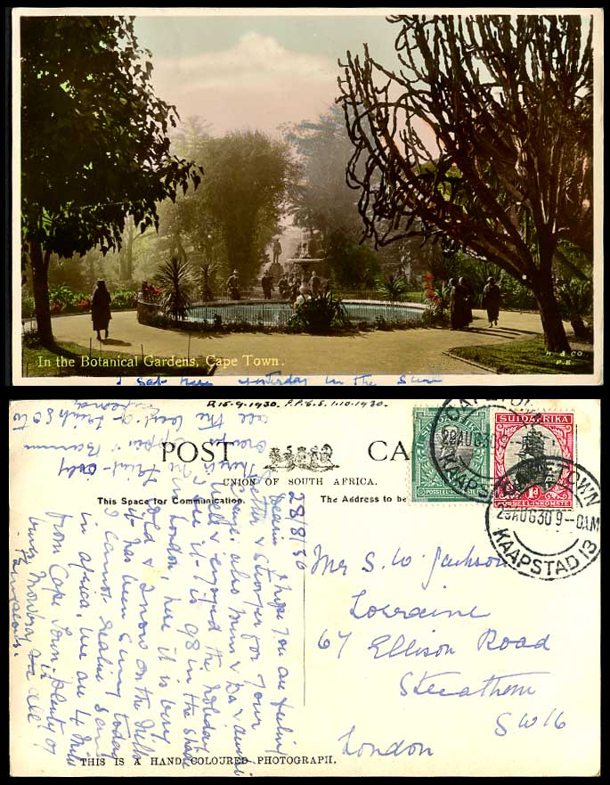 South Africa Cape Town 1930 Old Postcard Fountain Botanical Gardens Botanic Gdns