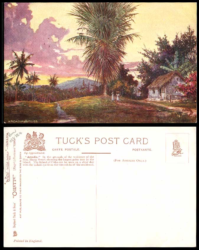 Jamaica 1924 Old Tuck's Oilette Postcard Arcadia Harry Sewel Residence Palm Tree