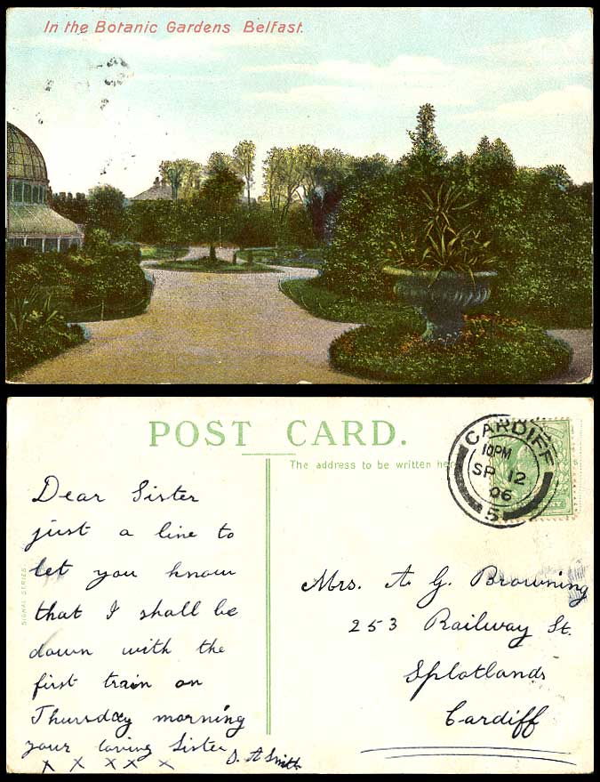 Ireland Antrim, Belfast Botanic Gardens Botanical Garden 1906 Old Irish Postcard