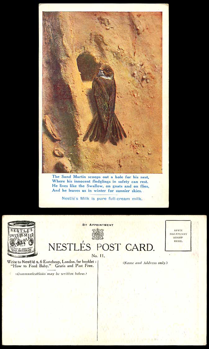 Sand Martin Bird Scoops Hole for Nest Nestle's Swiss Milk Advertise Old Postcard
