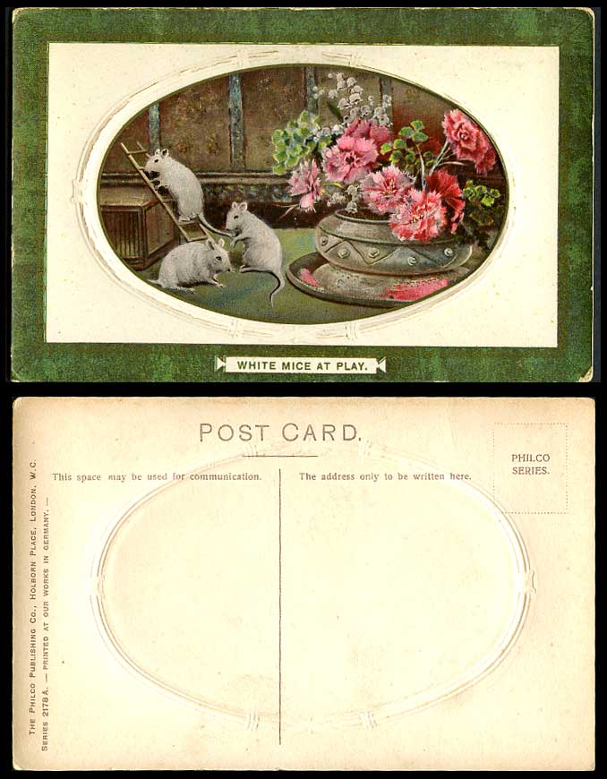 White Mice at Play, Mouse Rat Rats, Ladder Flowers Animals Old Embossed Postcard