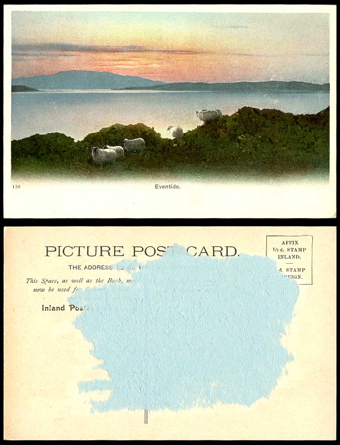 SHEEP EVENTIDE Animals Sunset Lake Mountains & Panorama 110. Old Colour Postcard