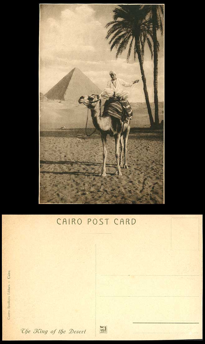 Egypt Old Postcard Pyramid Native Camel Rider The King of Desert Palm Trees Dune