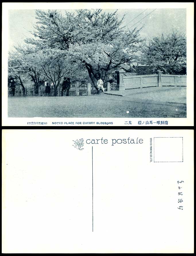 Korea c.1930 Old Postcard Korean Busan Masan Cherry Blossoms Bridge Street Scene