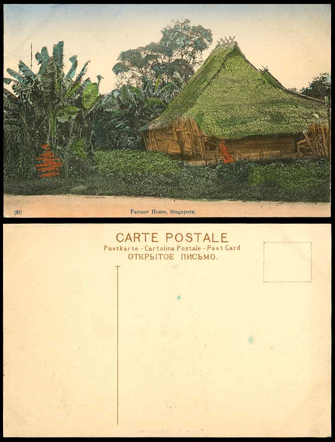 Singapore Old Hand Tinted Postcard FARMER HOUSE Native Malay Hut House Trees 81.