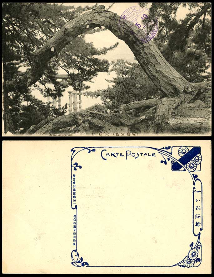 Japan Old Postcard Akinomiyajima Big Torii Gate Pine Tree Miyajima Island Cachet