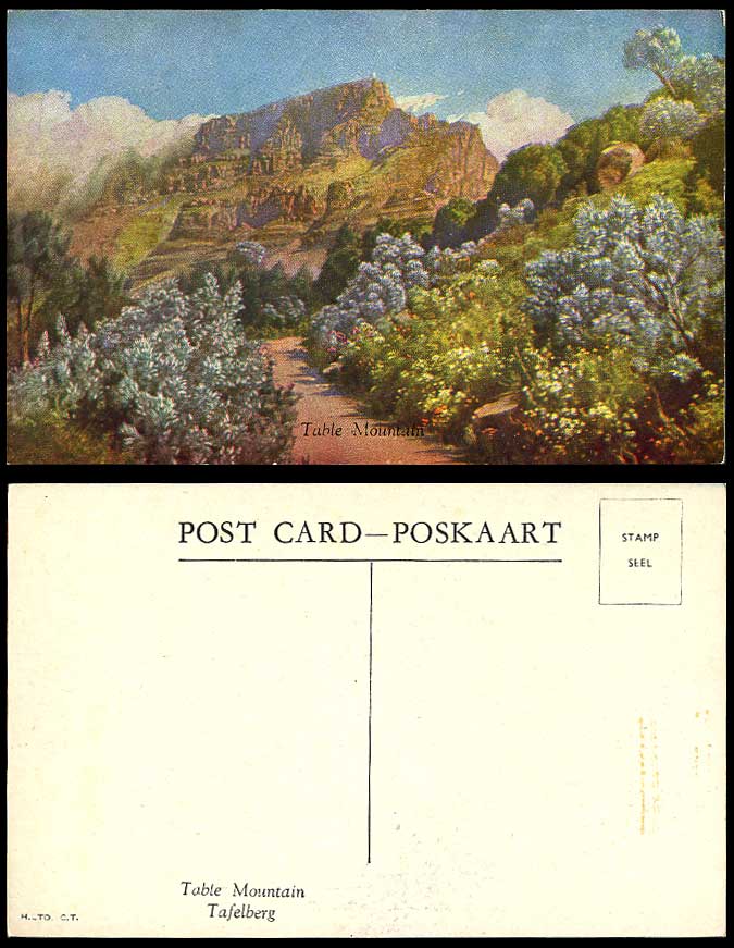 South Africa Table Mountain Tafelberg Art Artist Drawn Flowers Path Old Postcard