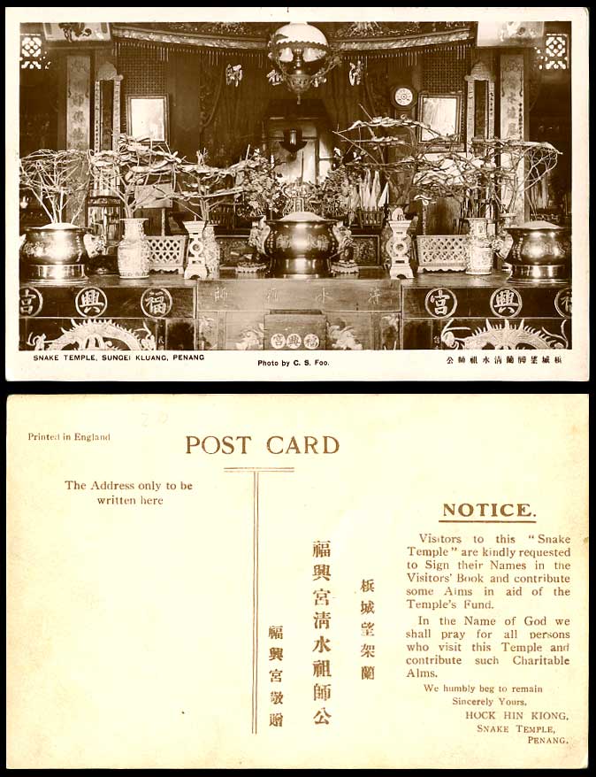 Penang Sungei Kluang Snake Temple Old Real Photo Postcard Photo by C.S.Foo Malay