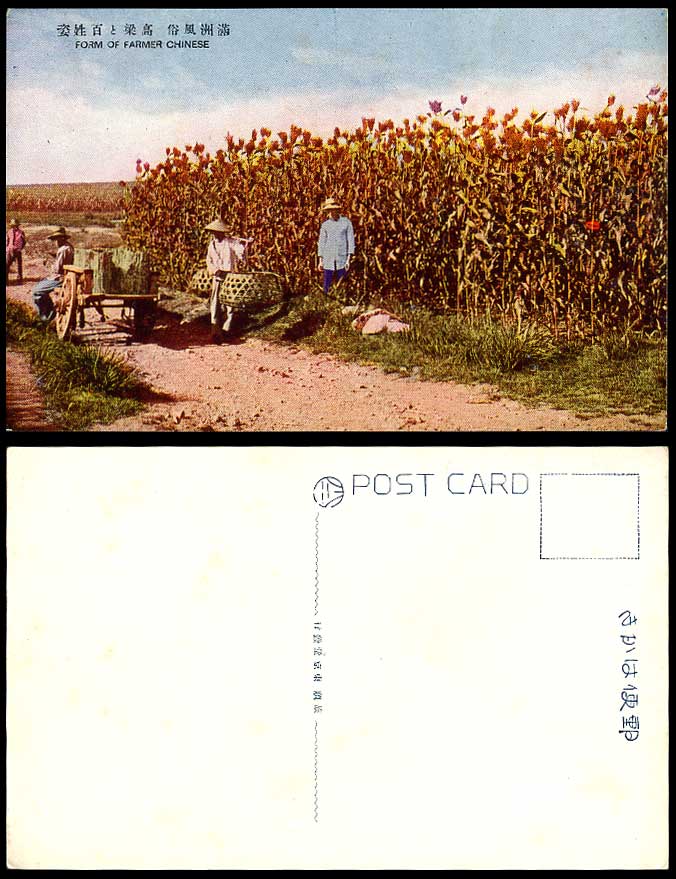 China Old Postcard Chinese Farmer Farmers at Work Sorghum Millet Field Manchuria