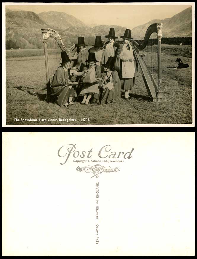 Beddgelert The Snowdonia Harp Choir Welsh Ladies Women Costume, DOG Old Postcard