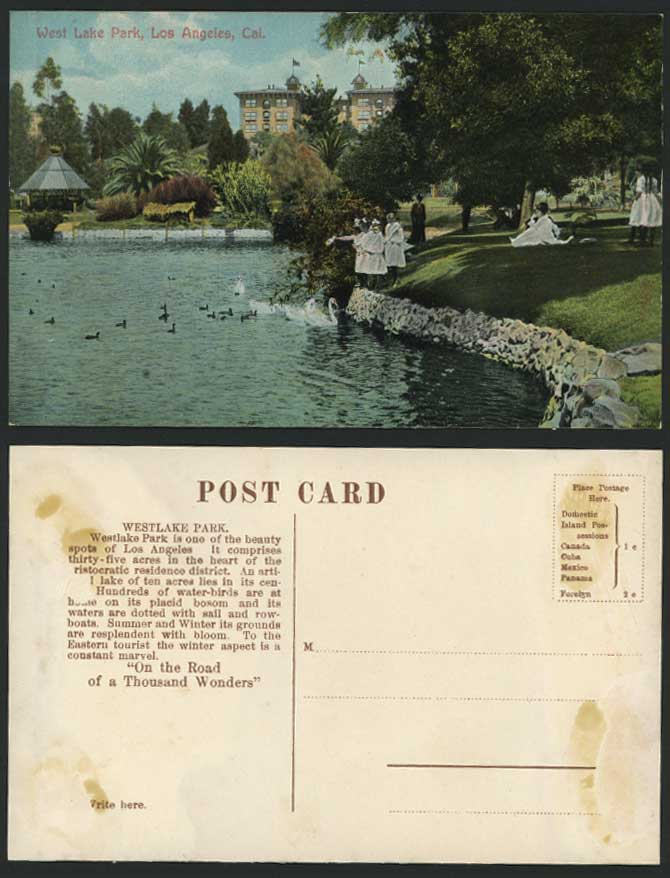 USA Old Postcard West Lake Park Swans Birds Los Angeles