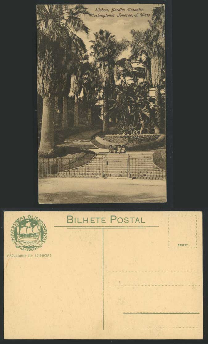 Portugal Old Postcard LISBON Botanical Garden - S. Wats