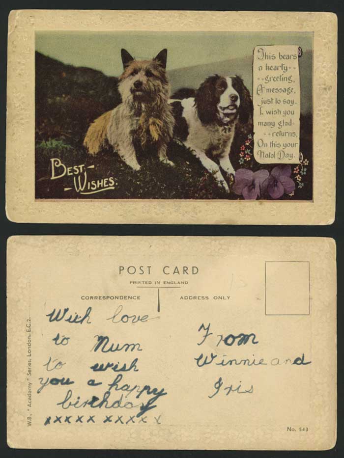 2 Dogs Old Postcard Greetings - Best Wishes - Natal Day