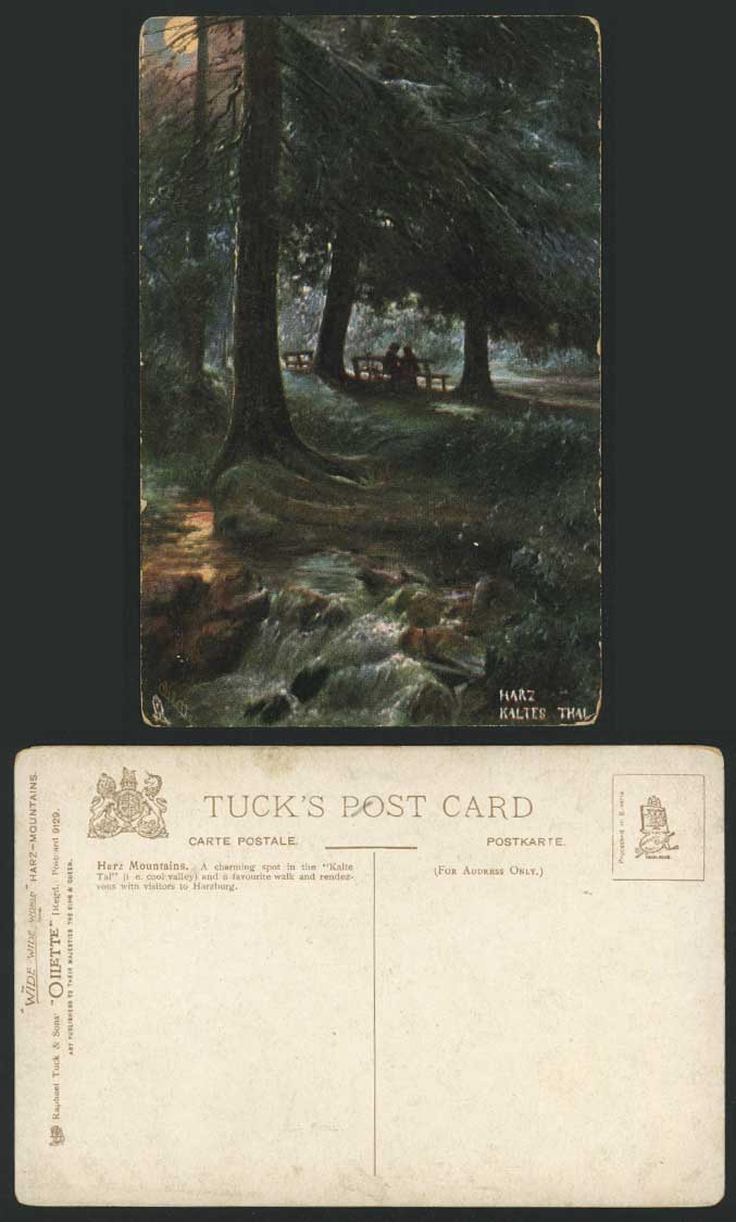 Harzburg Harz Mountains Kaltes Thal Old Tuck's Postcard
