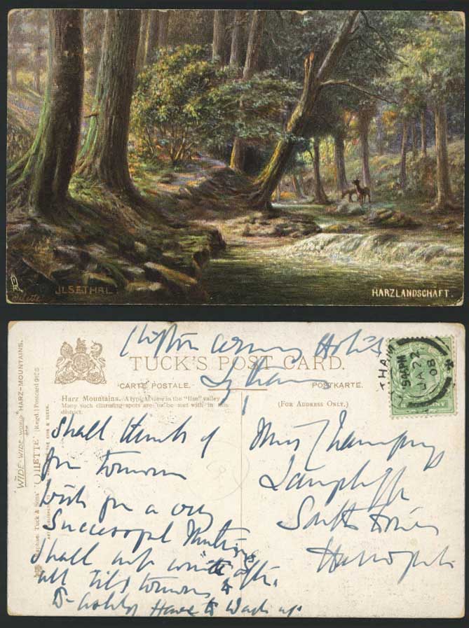 Harzburg Harz Mts. Ilse Valley 1908 Old Tuck's Postcard