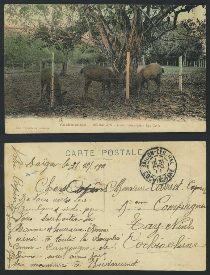 Indo-China Saigon 1911 Old Postcard Botanic Garden Deer