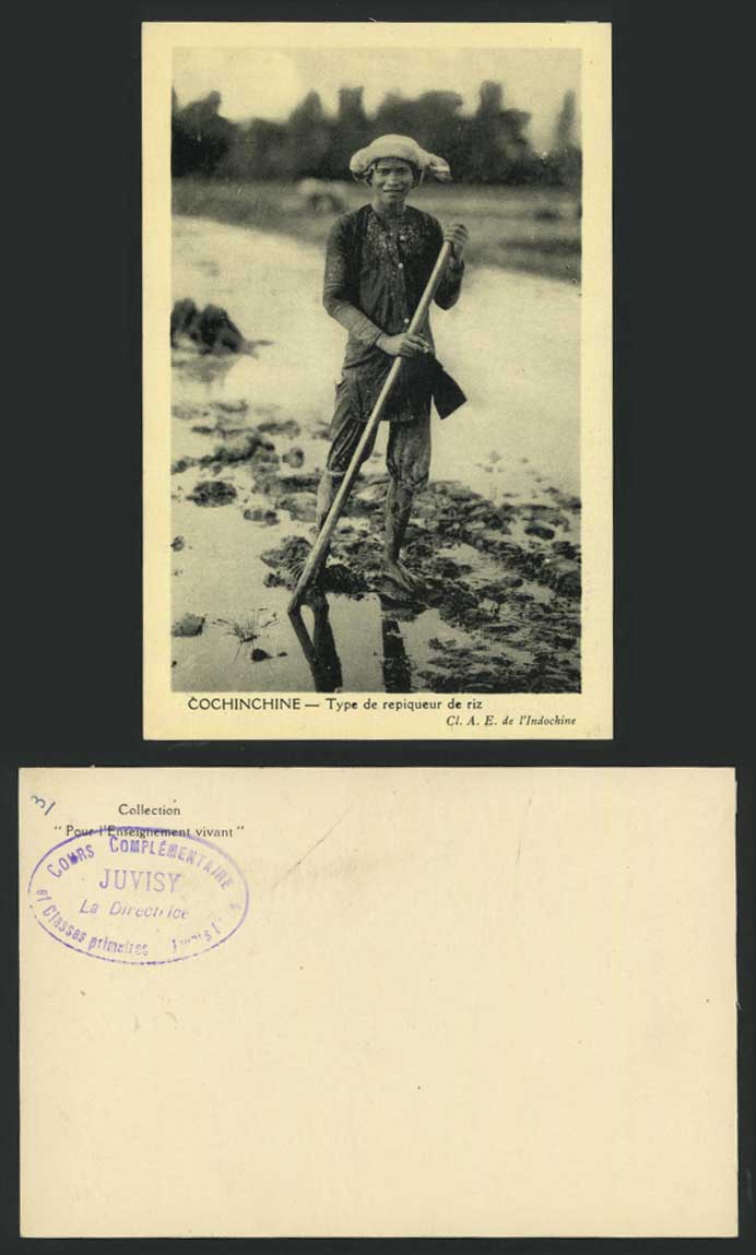 Indo-China Old Postcard Cochinchine Native Farmer, Type de Repiqueur de Riz Rice
