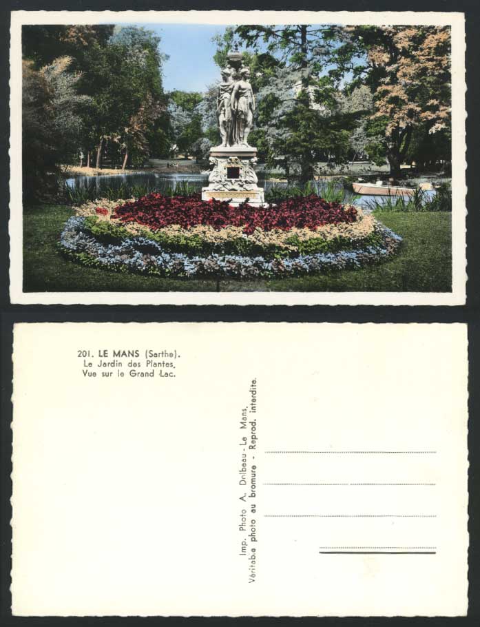 LE MANS Old Postcard Jardin des Plantes Botanic Garden