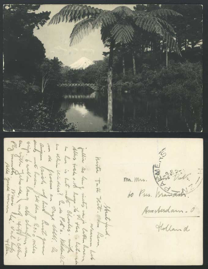 New Zealand 1952 Postcard Mt. Egmont, Bridge, Fern Tree