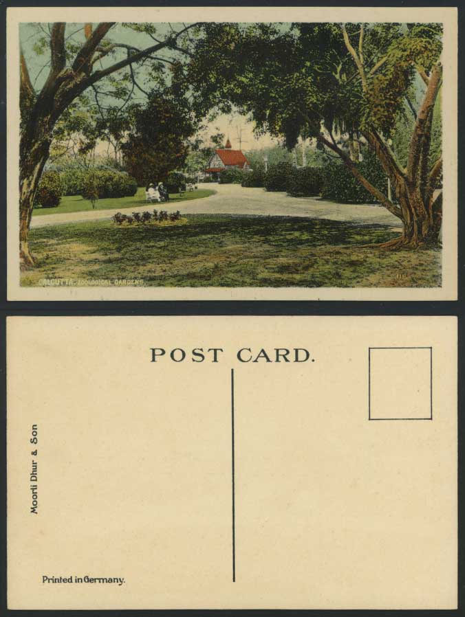 India Old Postcard Tree ZOO Zoological Gardens Calcutta