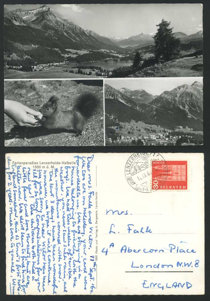 Switzerland Swiss, Feeding Squirrel Lake Mountains Panorama 1960 Old RP Postcard