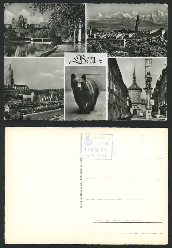 Swiss BERN BEAR 1956 Old R.P. Postcard Bridge Clock Tower Church River Mountains