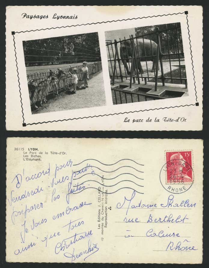 Lyon Elephant Girls Feeding Deer Parc de la Tete-d'Or Zoo 1912 Old R.P. Postcard