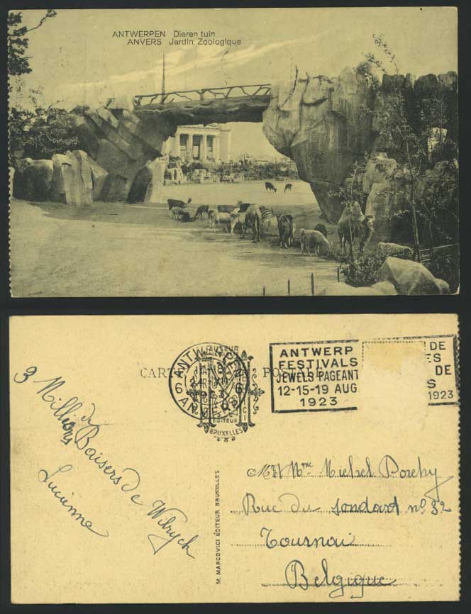 Anvers Antwerp Zoo Animals Camel Sheep Bridge Zoological Gdns. 1923 Old Postcard