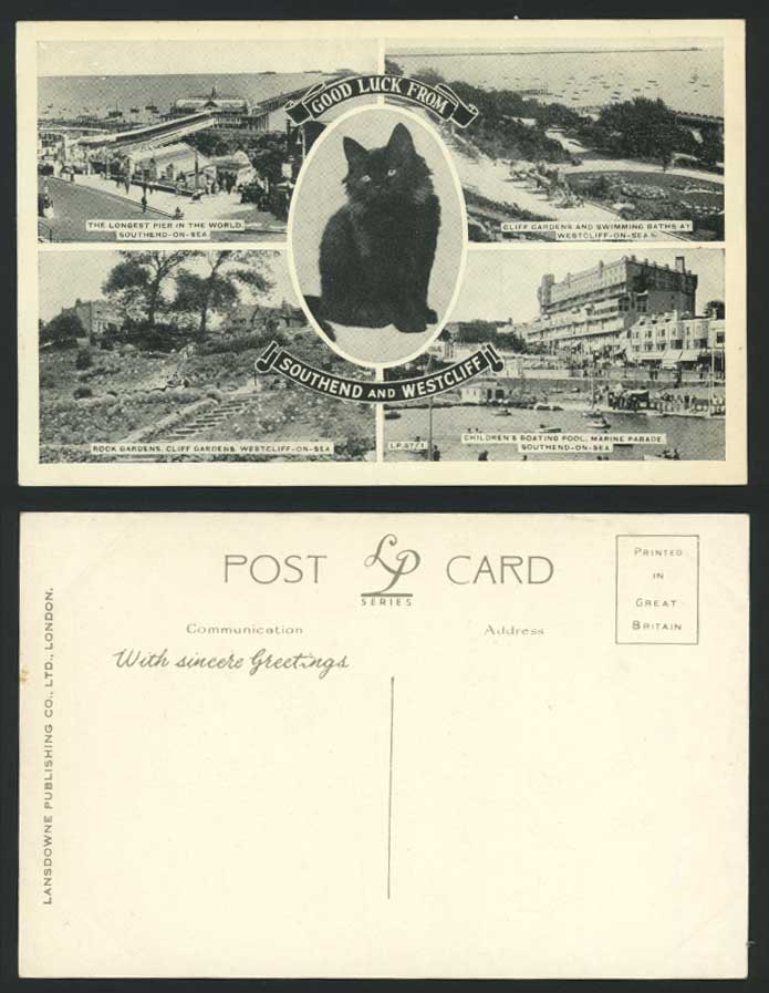 Southend & Westcliff Old Postcard Cat Kitten, Cliff Gardens, Marine Parade, Pier