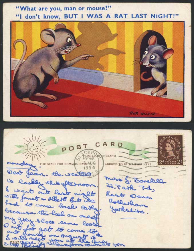 Bob Wilkin 1954 Old Postcard R You Man or Mouse? I was Rat Last Night. Mice Rats