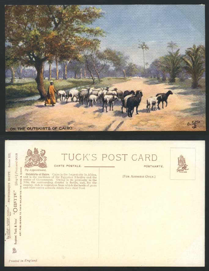 Egypt Old Tuck's Oilette Postcard Cairo Outskirts Goat Shepherd Ethnic Life