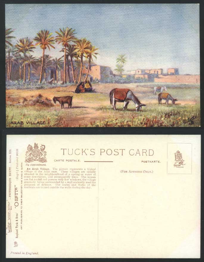 Egypt Old Tuck's Oilette Postcard An ARAB VILLAGE Shepherdess and Donkey Goats